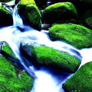 一级片黄色视频
