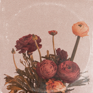 一级片黄色视频
